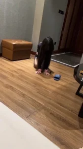 骚母狗*娜